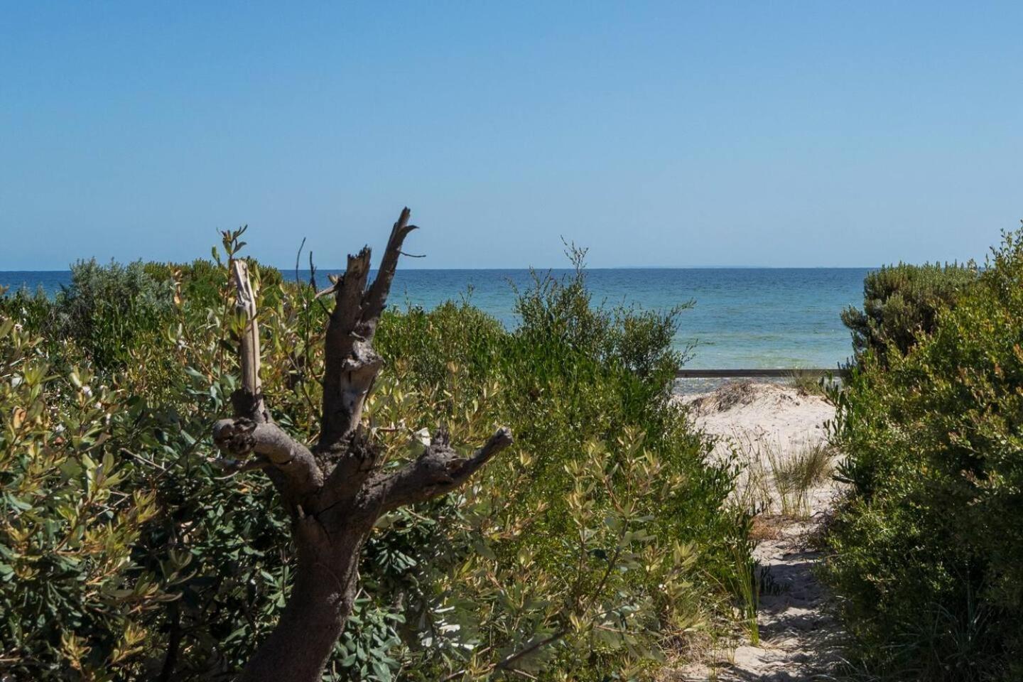 Villa Ti Tree House - Live Like A Bonbeach Local Melbourne City Exterior foto